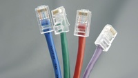 Connecteur femelle RJ45 UTP 8P8C Ethernet Cat5e/Cat6 blanc flexible plaqué or