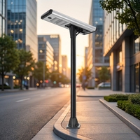 Lampadaire solaire tout-en-un intégré, haute luminosité, télécommande intelligente, étanche, pour projets gouvernementaux