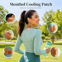 Patch antidouleur à base de plantes au menthol pour le soutien lombaire, soulagement durable de la douleur pendant 8 heures, durée de conservation de 3 ans, vente en gros sous marque privée