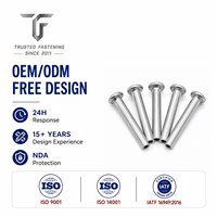 Rivets semi-tubulaires à tête plate en titane sur mesure pour les articulations d'équipements de fitness, prototypes d'ingénierie, tailles personnalisées, TianFang