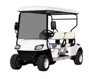 Recién llegado, último diseño, piezas de carrito de <span class=keywords><strong>minigolf</strong></span> a la venta y coche Club de 2 plazas - Product Image 1