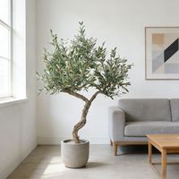 Arbres d'olivier artificiels hautement réalistes de 190 cm, décoration de salle d'exposition de meubles, hôtel, faux oliviers en troncs de bois véritable