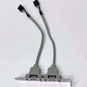 Câble d'extension USB 2.0 double port pour carte mère, gaine PVC, blindage en feuille, 5 broches, plaqué or, garantie 12 mois - Product Image 5