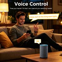 Récepteur 1CH AC Tuya RF433/WiFi/ZigBee, kit de commutateur cinétique sans fil pour Alexa Google, contrôle à distance des lumières, interrupteur mural