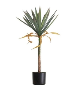 Realista jardín paisajismo fábrica Venta caliente diseño Artificial Agave Maguey árboles precio al por mayor interior simulación Decoración - Product Image 2