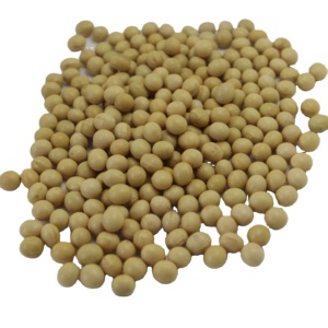 Trung Quốc giá tốt nhất Chất lượng cao đậu tương/đậu nành đậu để bán mọc lên đậu tương vàng không biến đổi gen đóng gói hữu cơ khô protein cao - Product Image 1