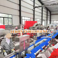Máquina de clasificación comercial de alta eficiencia, equipo automático de clasificación de pato con ala de pata de pollo congelado, núcleo de motor