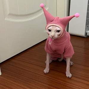 Combinaison pour animaux de compagnie en coton de luxe, mignonne et classique, style allemand bouclé, pour <span class=keywords><strong>chat</strong></span> et chiot, vêtements amusants pour animaux - Product Image 2