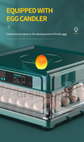 Incubateur d'œufs de volaille à haute capacité (10-128 œufs) avec fonction d'éclosion automatique et coût réduit