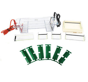 EPT-HZ01 horizontale Elektro phorese Maschine <span class=keywords><strong>Gel</strong></span> <span class=keywords><strong>Agarose</strong></span> horizontale Elektro phorese Tank - Product Image 4
