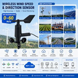 Sensor Inalámbrico Multifunción LoRaWAN 4G para Medir la Velocidad y Dirección del Viento, RS485 MQTT JSON, Estación Meteorológica, Monitoreo Ambiental - Product Image 1