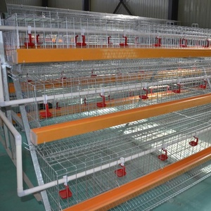 Gabbie manuali a strato 6x3 livelli elettro galvanizzate/gabbie di pollo in filo di acciaio immerso a caldo/gallina ovaiola/gabbia per batterie per il Sudafrica - Product Image 4