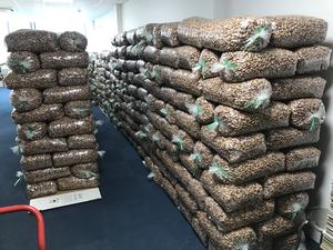 Vente en gros de noix de cajou grillées Noix de cajou délicieuses de haute qualité avec peau - Product Image 6