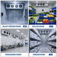 Chambre froide, chambre réfrigérée, chambre froide de plain-pied, chambre froide de 0 à 5°C ° C pour fruits et légumes
