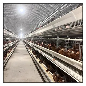 Gabbie di batteria per pollame completamente automatizzate per galline ovaiole per uccelli 1000 per 20000 gli allevamenti di pollame