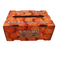 Caja de Cartón Corrugado con Logotipo para Embalaje de Ropa de 20 kg, Laminación Mate, Relieve, Laminación Brillante, Reciclable, Moderna