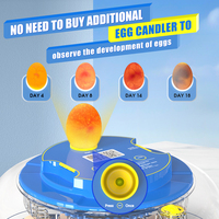 Incubadoras Comerciales Automáticas WONEGG con Certificación CE para Incubar Huevos de Aves de Corral