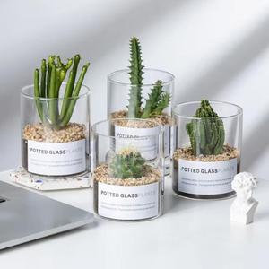 Tanque de Almacenamiento de Varios Tamaños, Cilindro para Plantas, Botella Hidropónica para Suculentas, Florero de Vidrio Transparente para Decoración del Hogar y Sala de Estar - Product Image 1