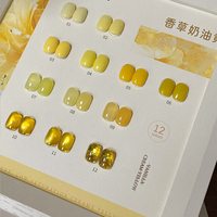 ZRKGEL Fournisseur d'usine professionnel – Kit de vernis à ongles gel UV jaune 12 couleurs sans HEMA, formule salon, conditionnement en flacon