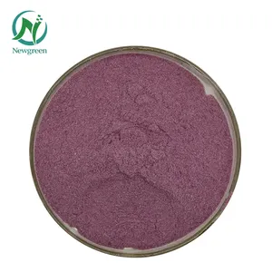 Newgreen Manufacturer Supply Nature Butterfly Pea Flower Tea Powder 99%