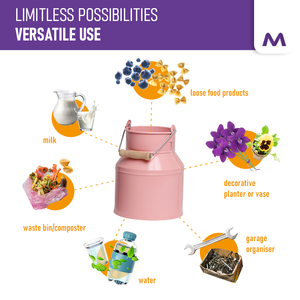 Boîte multifonctionnelle avec poignée de transport 3L-Pichet décoratif vintage en tôle d'acier Conteneur seau de stockage Vase à fleurs en métal - Product Image 5