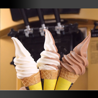 Machine à glace pilée manuelle en acier inoxydable à commande à une touche