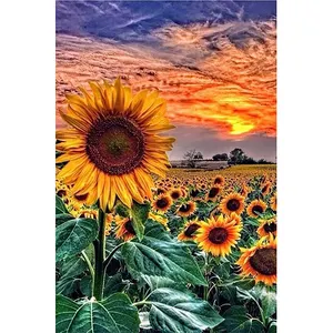 5d diamond art painting for adults 5d diy diamond painting flower yiwu diamond paintings sunflower