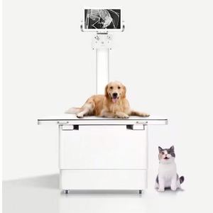 Tanı cihazı için hayvan hastaneleri ve hayvanat bahçeleri için 20kw/320mA veteriner <span class=keywords><strong>X</strong></span> ışını ekipmanları zemin üstü <span class=keywords><strong>x</strong></span>-<span class=keywords><strong>ray</strong></span> makinesi - Product Image 6