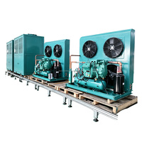 Unité de réfrigération à piston semi-hermétique 3HP refroidie par air à basse température avec R404a et condenseur de type H pour entrepôt frigorifique