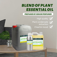 HL-Professional Usine de diffuseur d'huile essentielle de parfum d'hôtel, 1Kg, parfum inspiré d'huile d'arome de thé blanc de Westin pour le désodorisant