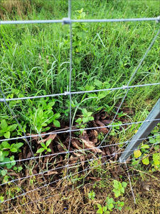 Cercas Agrícolas de Alambre Tejido para Perros, Ciervos, Caballos y Ganado - Product Image 4
