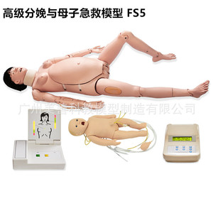 Modelo avanzado de parto y cuidado de emergencia materno-infantil, modelo de enseñanza, ginecología, modelo de fertilidad femenina. - Product Image 1