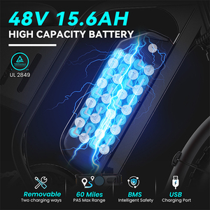 Envío Rápido, Bicicleta Eléctrica F6 48V 15.6Ah con Llantas Gruesas de 20 Pulgadas, Almacén en EE. UU., con Asiento Trasero Simple sin Respaldo para Dos Personas - Product Image 4
