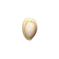 1 kg de coquillages 1,2-2,5 cm Coquillages de cauris entiers blancs dorés à vendre
