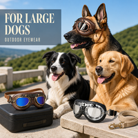 Nouvelles lunettes de soleil pliables de style britannique pour animaux de compagnie, idéales pour les voyages, lunettes de protection pour chiens, accessoires pour chiens, adaptées aux grands chiens, vente en gros pour l'extérieur