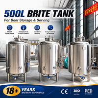 Cuve de brassage 500L Bright Beer Tank (BBT) en acier inoxydable sanitaire pour la clarification et le service de la bière prête à l'emploi