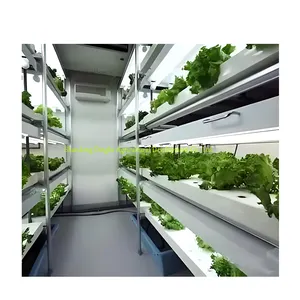 40HQ Farming Insulated Shipping Container Hydroponic Vertical Farming System Container Growing Farm for Animal