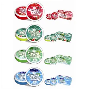 Custom LOGO Freshen Breath Mints Tablets Healthy Zero Sugar Snack Travel Sweets Fruit Flavor Hard Mint Candy Bulk