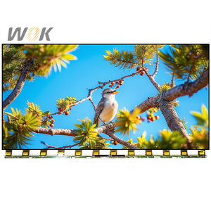Vente en gros, MOQ 17 pièces, commande en gros, emballage d'origine TCL, modules LCD de remplacement pour écran 55 pouces T550QVN07.9 en promotion - Product Image 1
