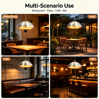 Lampe Chauffante Halogène Suspendue pour Plafond, 600W-900W-1500W, Corps en Aluminium et Fer, Idéale pour la Maison, la Terrasse et les Restaurants