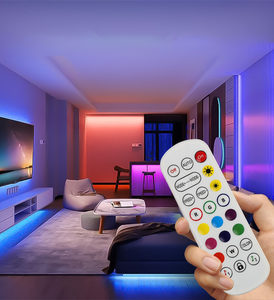 Rgbic pixel đèn neon với điều khiển từ xa & App & điều khiển bằng giọng nói linh hoạt RGB cầu vồng IP65 dây đèn 12V LED thông minh Neon dây đèn - Product Image 6