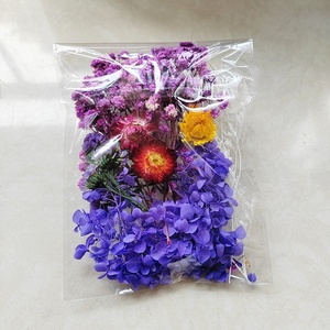 工厂供应价格便宜的树脂干花相框DIY材料真天然干花用于香味蜡烛制作 - Product Image 3