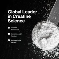 Créatine monohydratée 100% pure saveur originale, complément nutritionnel sportif avec formule antioxydante, 5g par portion – Produit OEM très demandé
