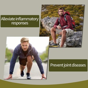 Oem/odm 100% 純粋な食欲抑制剤Garcinia Cambogiaカプセル減量用 - Product Image 2