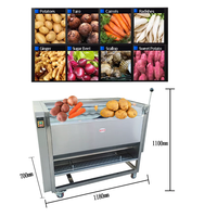 Machine voor het reinigen van vers fruit en groenten, specifiek voor het verwijderen van modder, fruitreinigingsapparatuur die het vruchtvlees niet beschadigt.