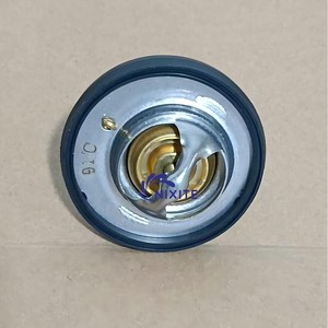 Termostato in cera per motore 4573560AC, 68210218AA, 5278144AA - Product Image 2