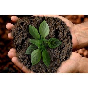 Herramienta de torneado SOIL 80 Lt Producto versátil para la gestión del suelo - Product Image 3