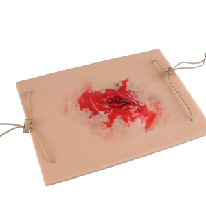 แบบจำลองการจำลองบาดแผลจากการบาดเจ็บที่สามารถสวมใส่ได้ ทำจากวัสดุ PVC สำหรับการศึกษาทางการแพทย์และการฝึกผ่าตัด - Product Image 5