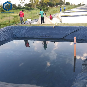 Géomembrane Inspection sur <span class=keywords><strong>le</strong></span> terrain Geomembranas Hdpe 40 Mils pour <span class=keywords><strong>le</strong></span> projet de réservoir en Afrique du Sud - Product Image 3