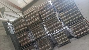 Galvanized 1/4 Inch Framed Welded <b>Steel</b> Net Plain Weave Green Corrosion Resistant <b>Wire</b> <b>Mesh</b> for Chicken Coop Protection - Product Image 3